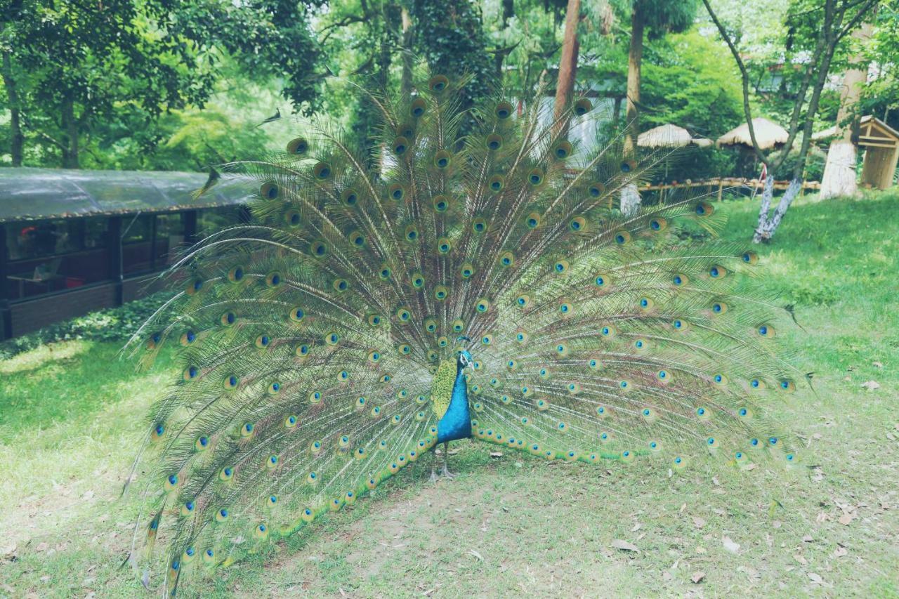 Shangri-La Hangzhou - The Back Garden Of West Lake מראה חיצוני תמונה